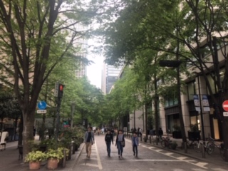 image1.jpeg