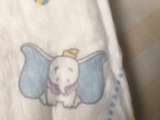 image5.jpeg