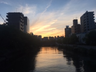 image8.jpeg