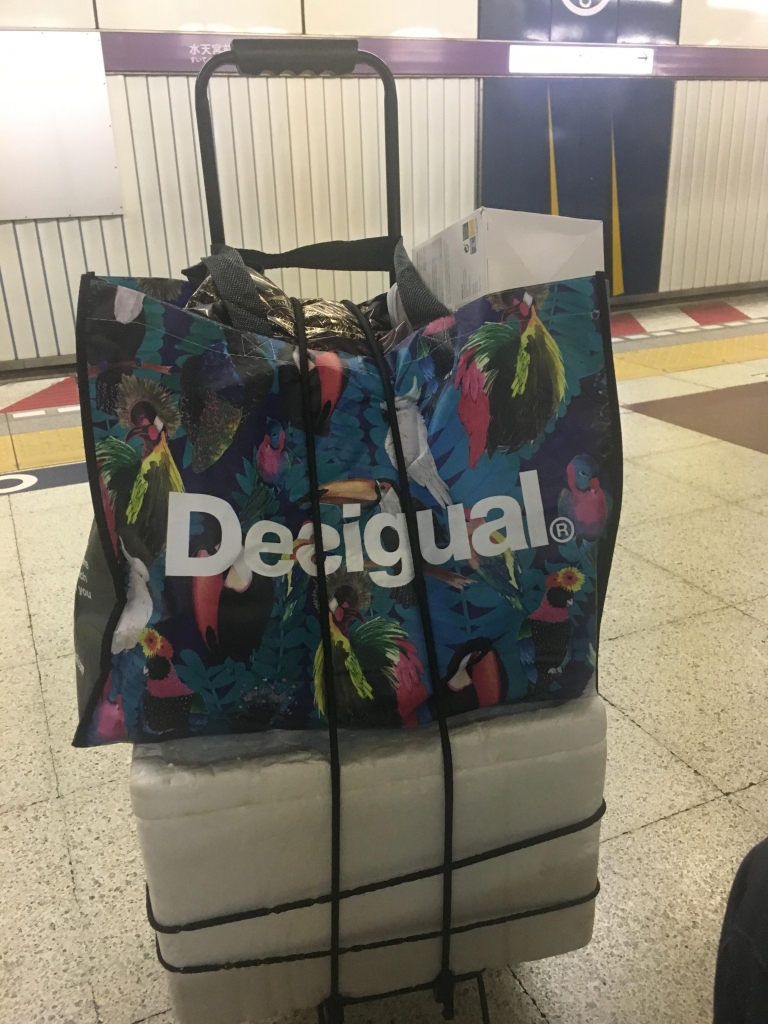 image1.jpeg