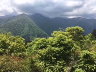 image3.jpeg