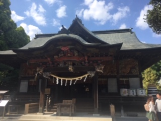 image5.jpeg