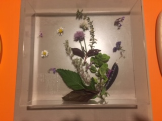 image2.jpeg