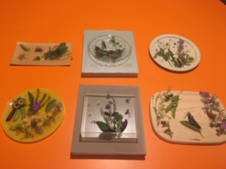 image4.jpeg