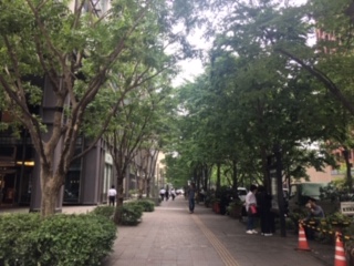 image1.jpeg