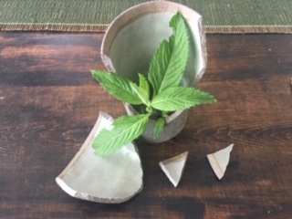 image4.jpeg