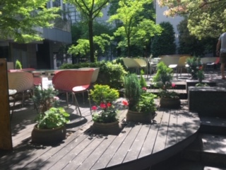 image1.jpeg