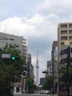 image4.jpeg