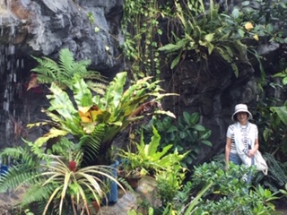 image4.jpeg