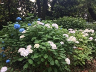 image1.jpeg