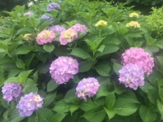 image2.jpeg