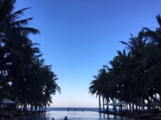 image1.jpeg