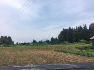 image1.jpeg