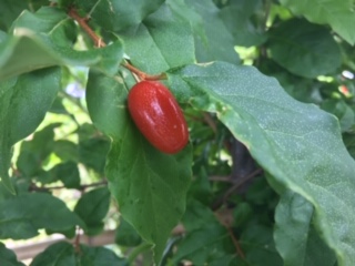 image1.jpeg