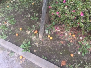 image2.jpeg
