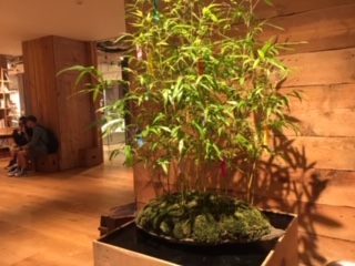 image5.jpeg