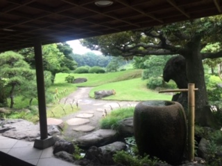 image1.jpeg