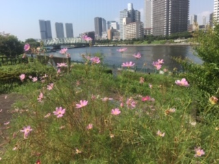 image2.jpeg