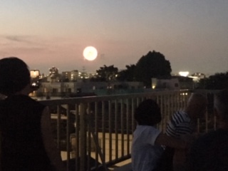 image1.jpeg