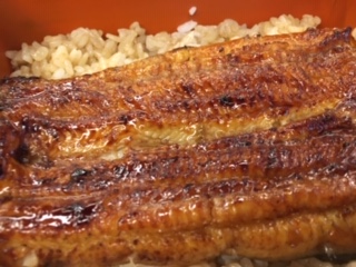 image1.jpeg