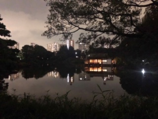 image3.jpeg
