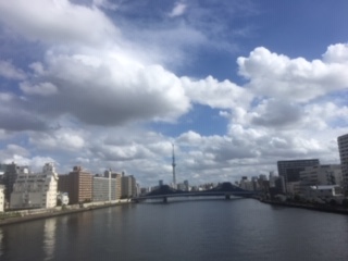 image1.jpeg
