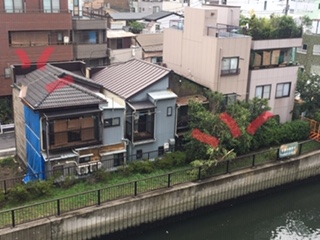 image1.jpeg