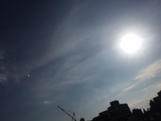 image1.jpeg