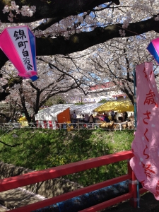 屋台と桜