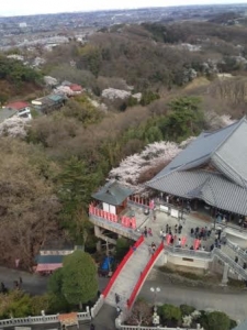 観音様の中からの風景