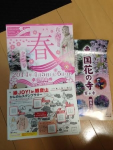 高崎桜祭り