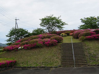 丸岡公園