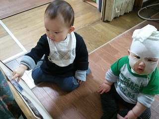 2012-02-27 16.23.38.jpg