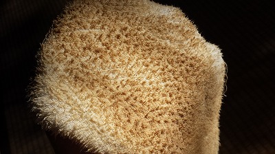 20141227_113139.jpg