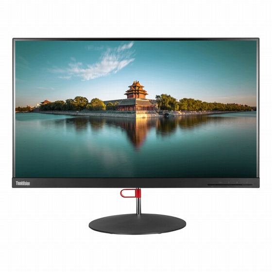 ThinkVision X24q-10 (61A4GAR3JP)