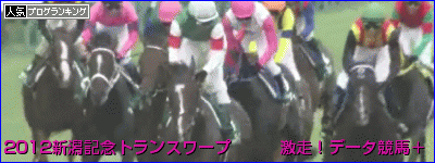 新潟記念 トランスワープ