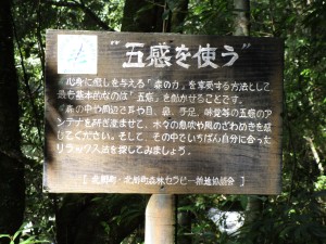 IMG_0623.JPG