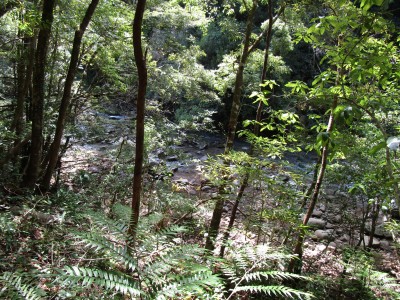 IMG_0635.JPG