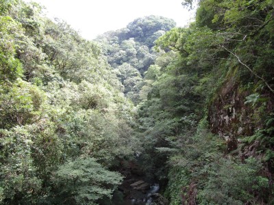 IMG_0652.JPG