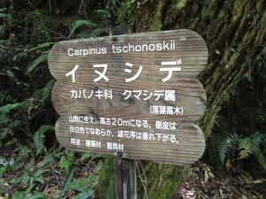 IMG_0653.JPG