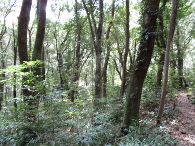 IMG_0655.JPG