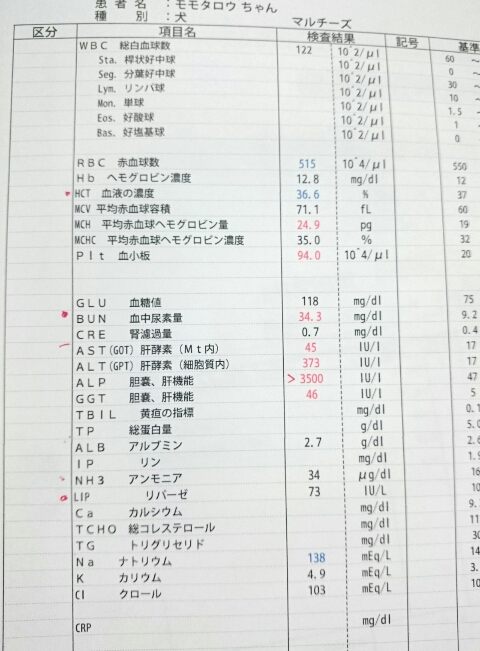 転院 モモタ キャバ マル日記