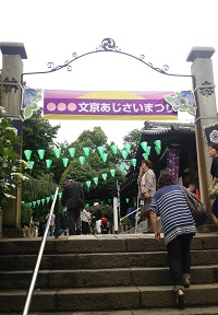 The Hakusan shrine(Bunkyo, Tokyo)