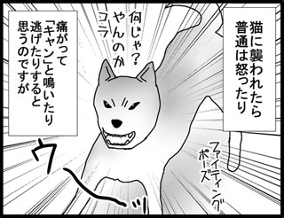 11-11
