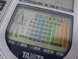 ムキムキじゃないのに、筋肉もあるでよ