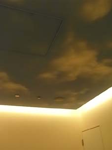天井には空の柄