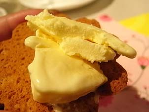 さっくりビスケットとのコンビも絶妙