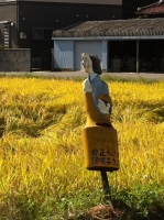 津島16