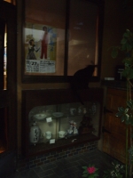 多治見31