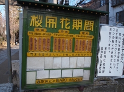 亀戸4